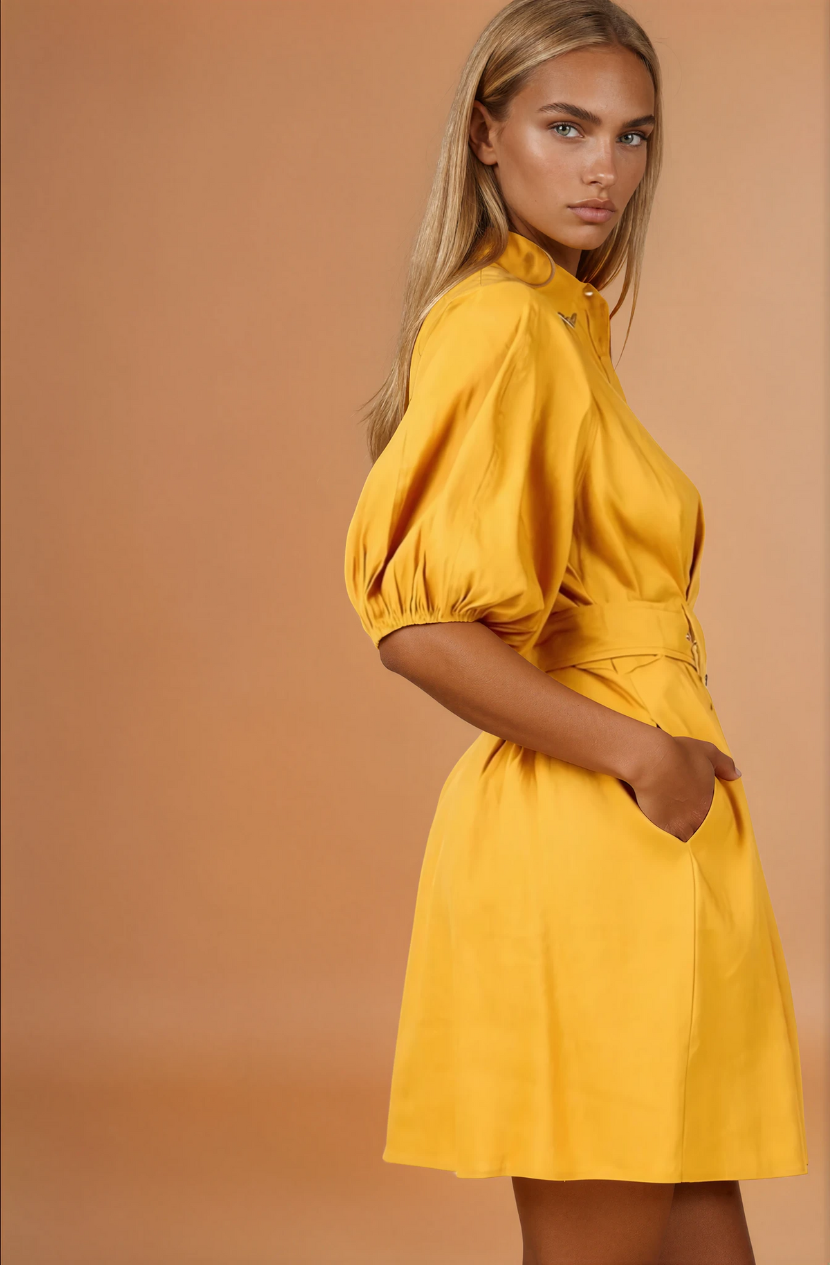 Elia Mustard Puff Sleeve Dress