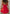 Red Frill Tie Detail Dress - NIXII Clothing